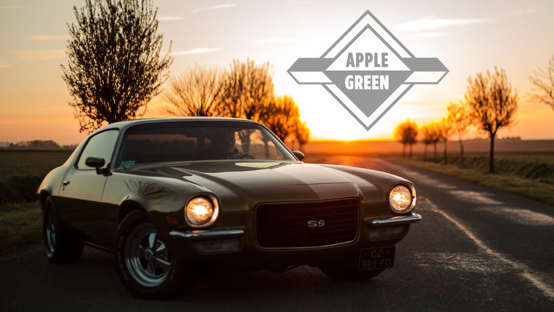 1973 Chevrolet Camaro: An American Let Free In The French Countryside