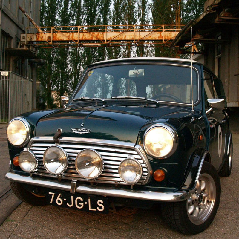 This Mini is a Dutch Treat