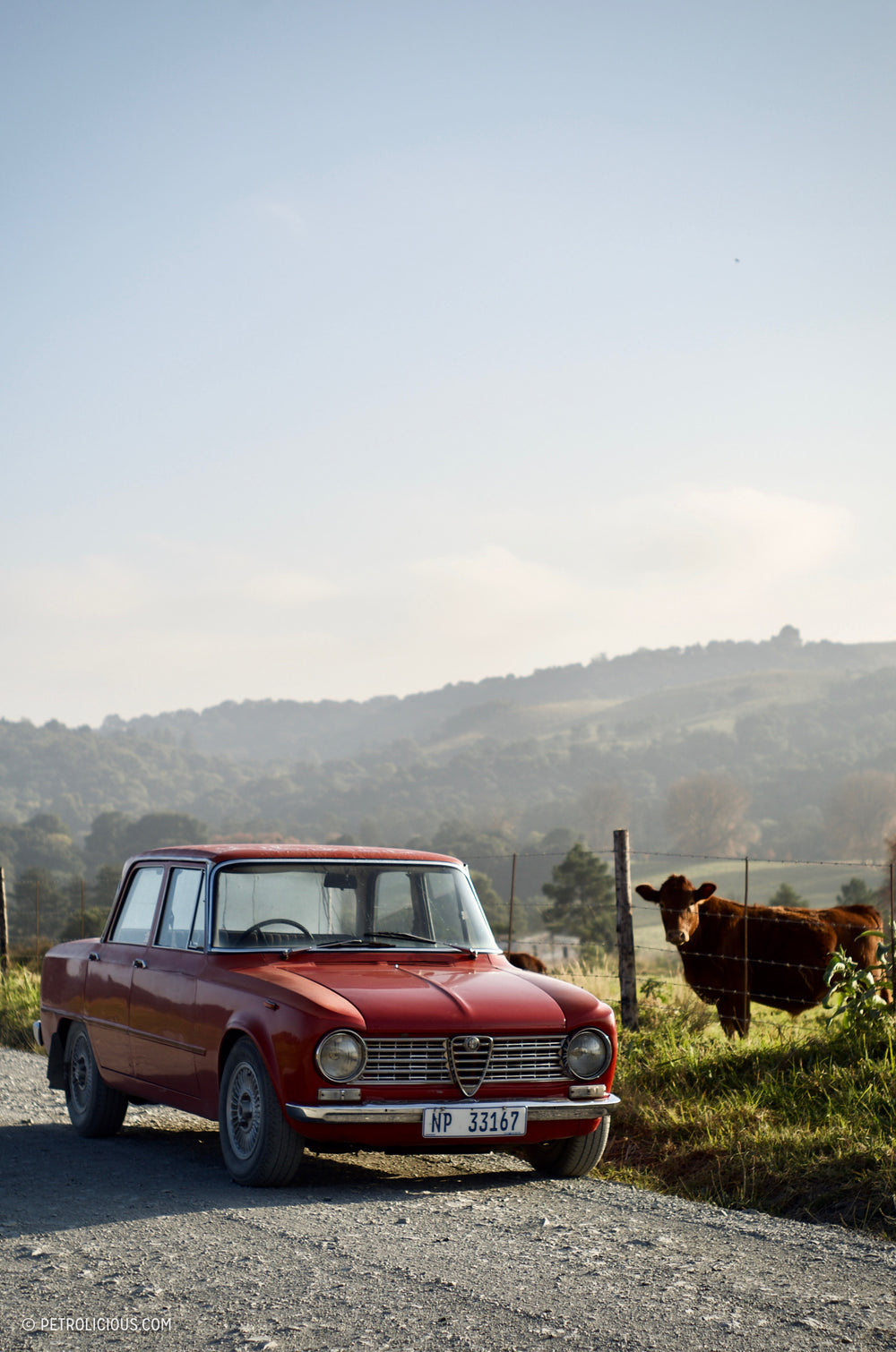 A Practical, Daily-Driven Sedan: My 1967 Alfa Romeo 1300Ti