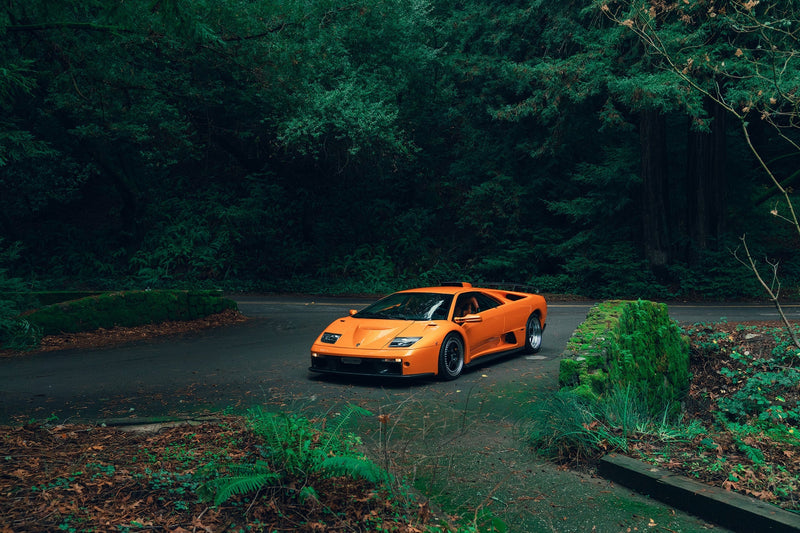 The Devil in the Trees: Lamborghini Diablo GT