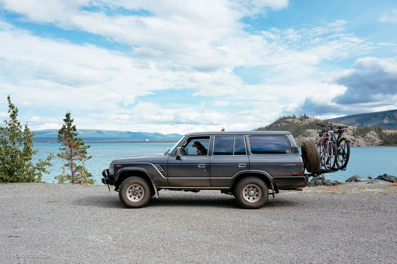 All You Need To Cross Canada Is A Dog And A Toyota Land Cruiser