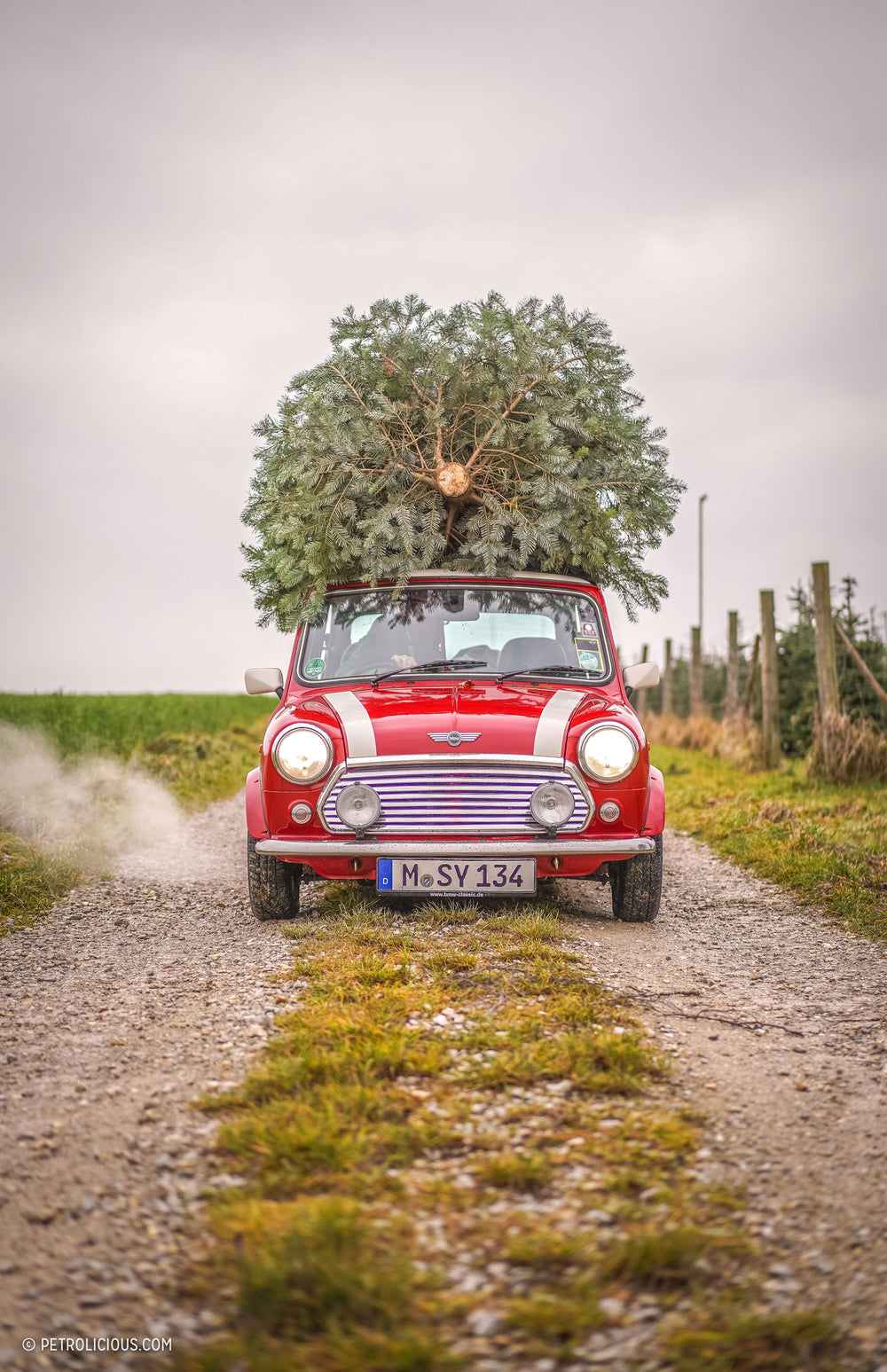 Spreading Christmas Cheer With A Mini And A Tree