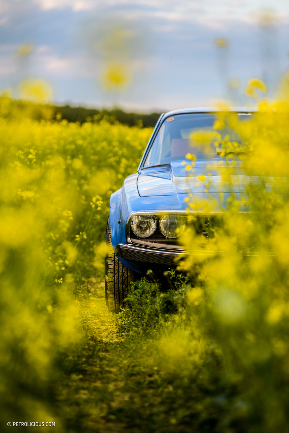 An Alfa Romeo 1600 Junior Zagato And The Payoffs Of Patience
