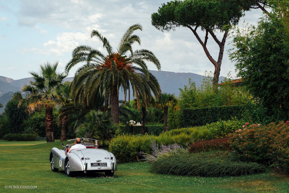This Jaguar XK120 OTS Is Keeping The Spirit Of Clemente Biondetti Alive At The Mille Miglia