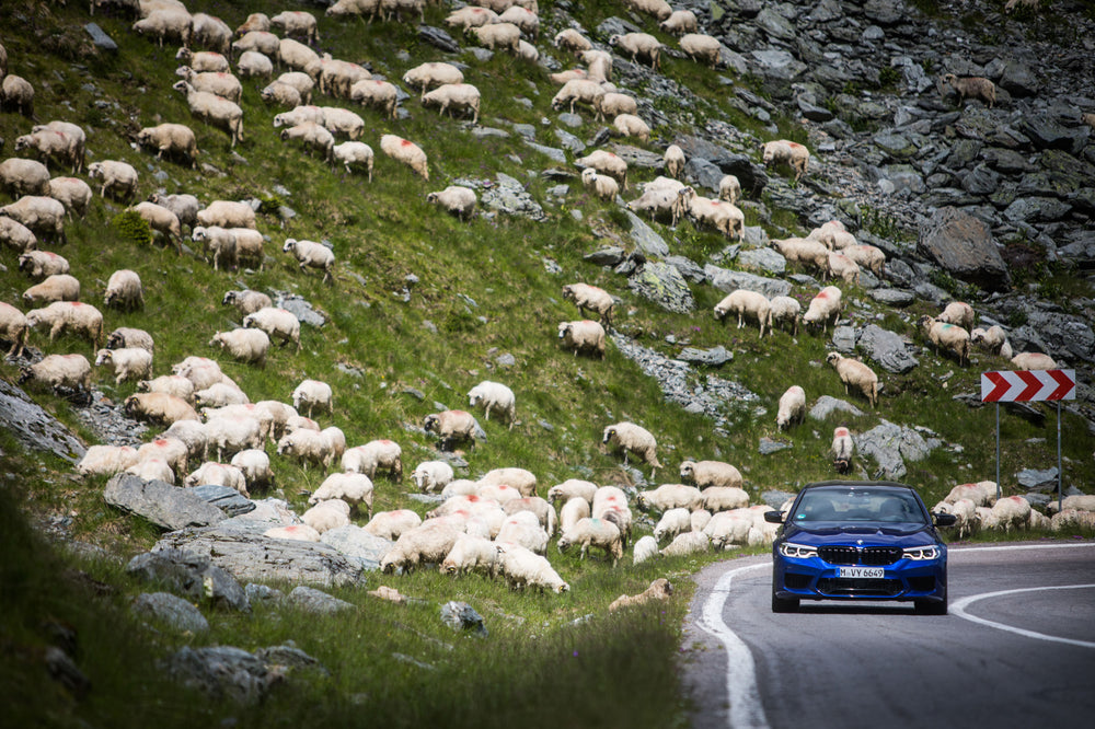 Mountain Climbing In Romania With The Original BMW M Man, Jochen Neerpasch