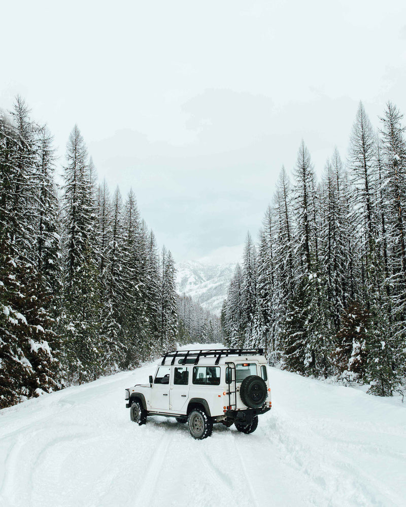 These Are The 5 Books We Fell In Love With This January