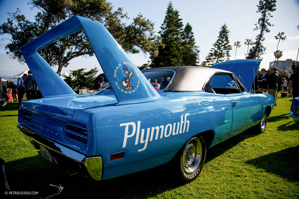 Where Do You Find Road Runner Superbirds And Mercedes Gullwings In The Same Flock?