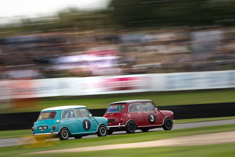 Even More Minis For The 2019 Goodwood Members’ Meeting!