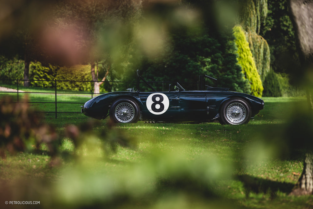 After More Than Six Decades Of Dormancy, Allard Is Picking Up Where It Left Off