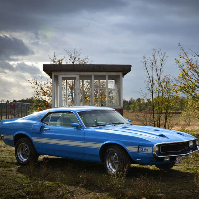 A Shelby Mustang Is A "No Brainer"