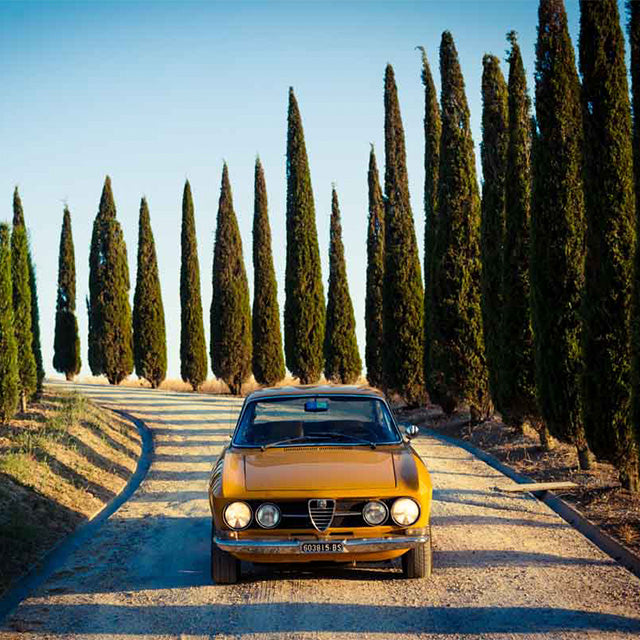 An Alfa Summer Affair Pt. 5: Pagnani & The Forbidden Zone