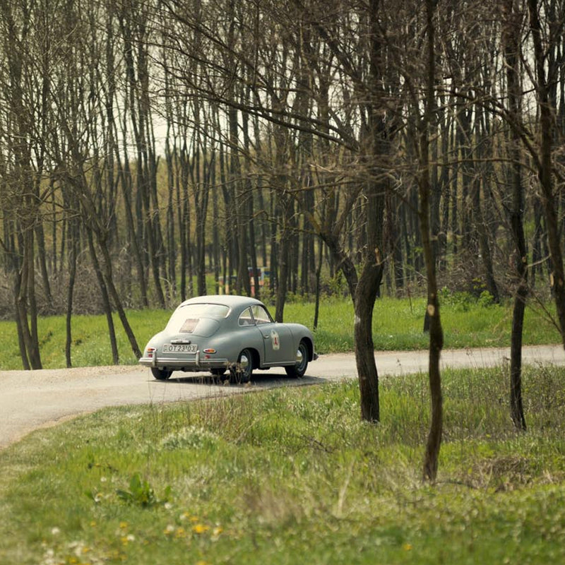Ancient Backdrop Hosts Rally Cars that Span Decades