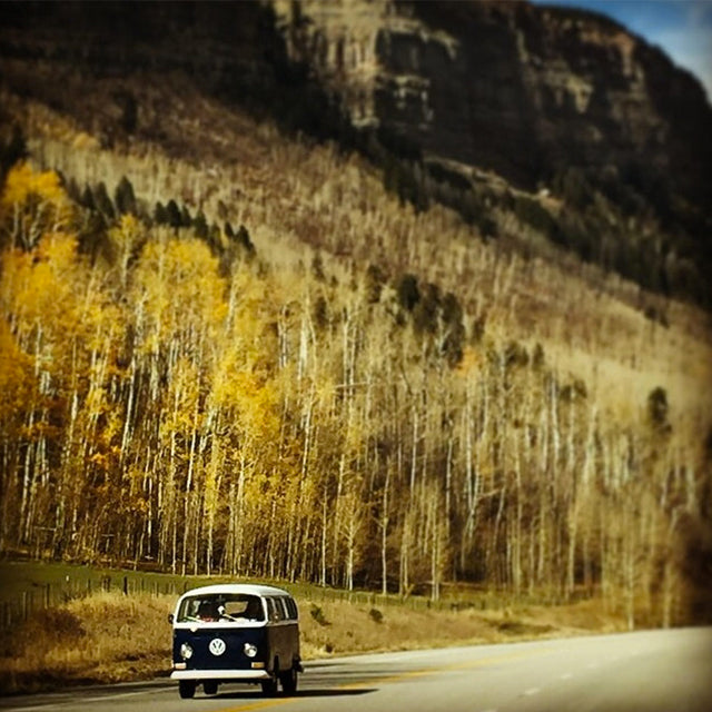 Autumnal Instagram Roundup