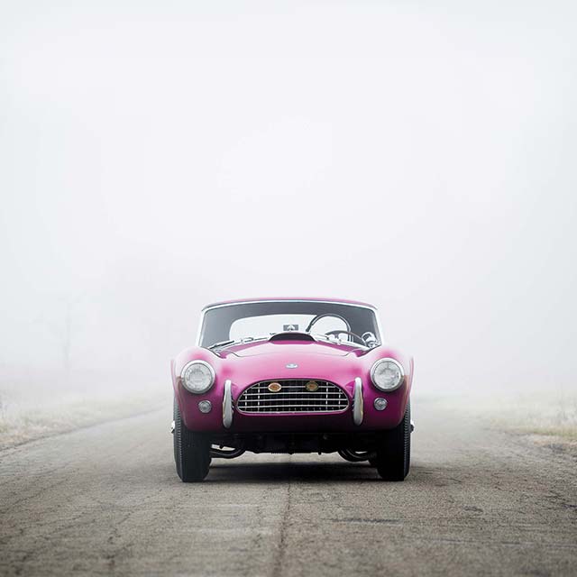 Behold, The Fearsome ‘Dragonsnake’ That Could Be Yours