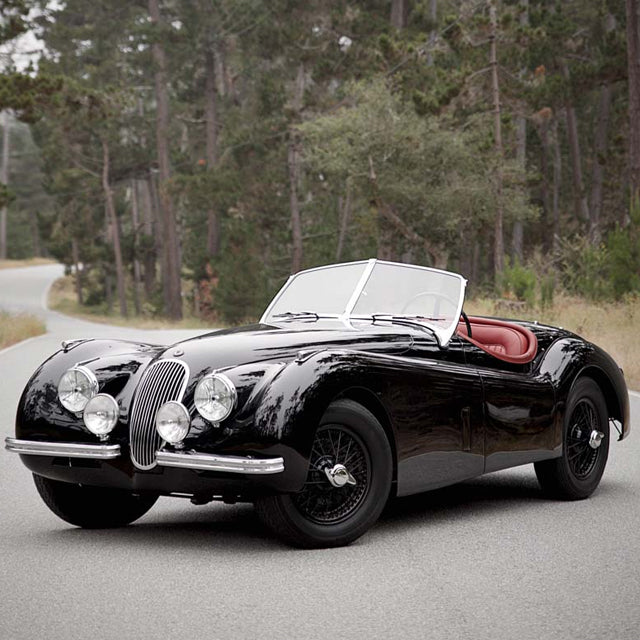 Beware the Black Cat of Pebble Beach Circuit