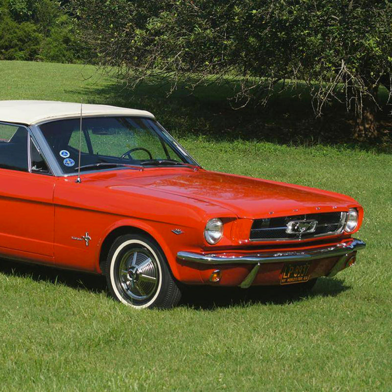 Buy This Day-One, D-Code Mustang