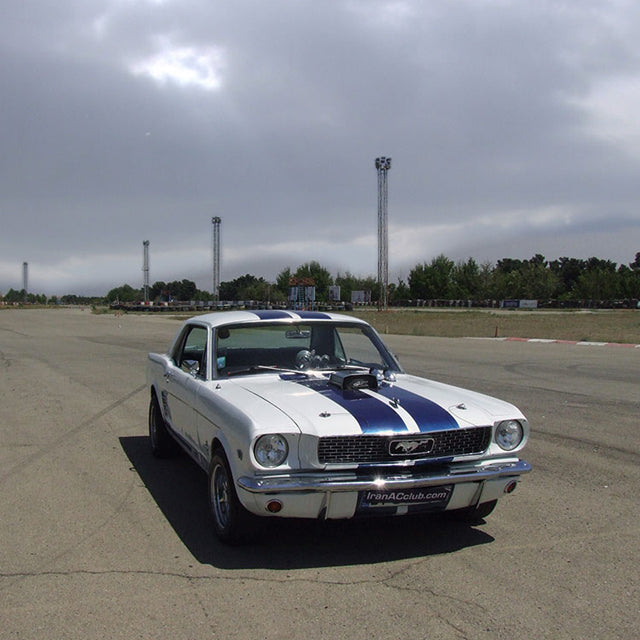 Celebrating Iranian New Year in Style