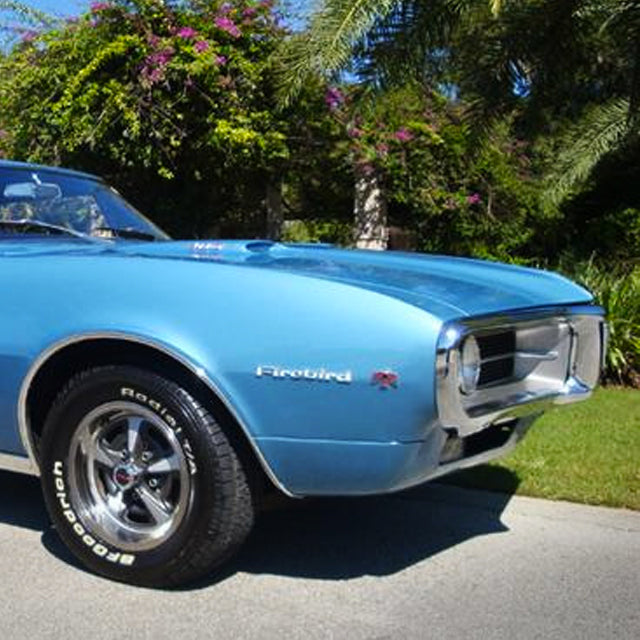 Come Fly With This Firebird