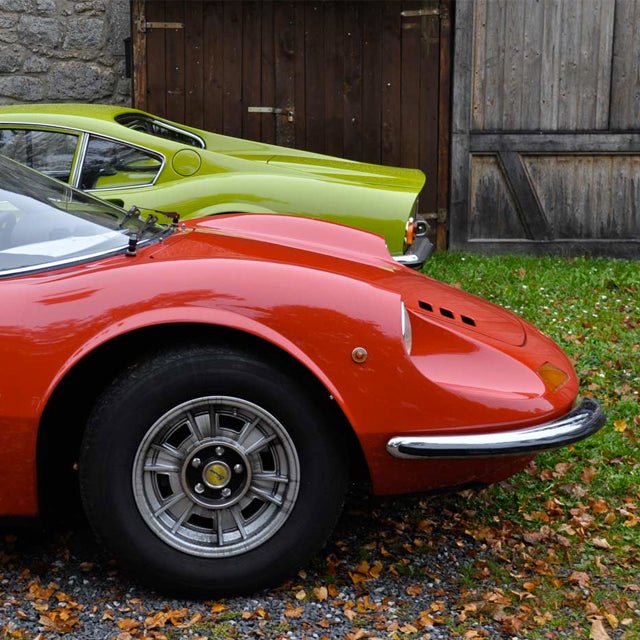 Dino Is Gone But Not Forgotten