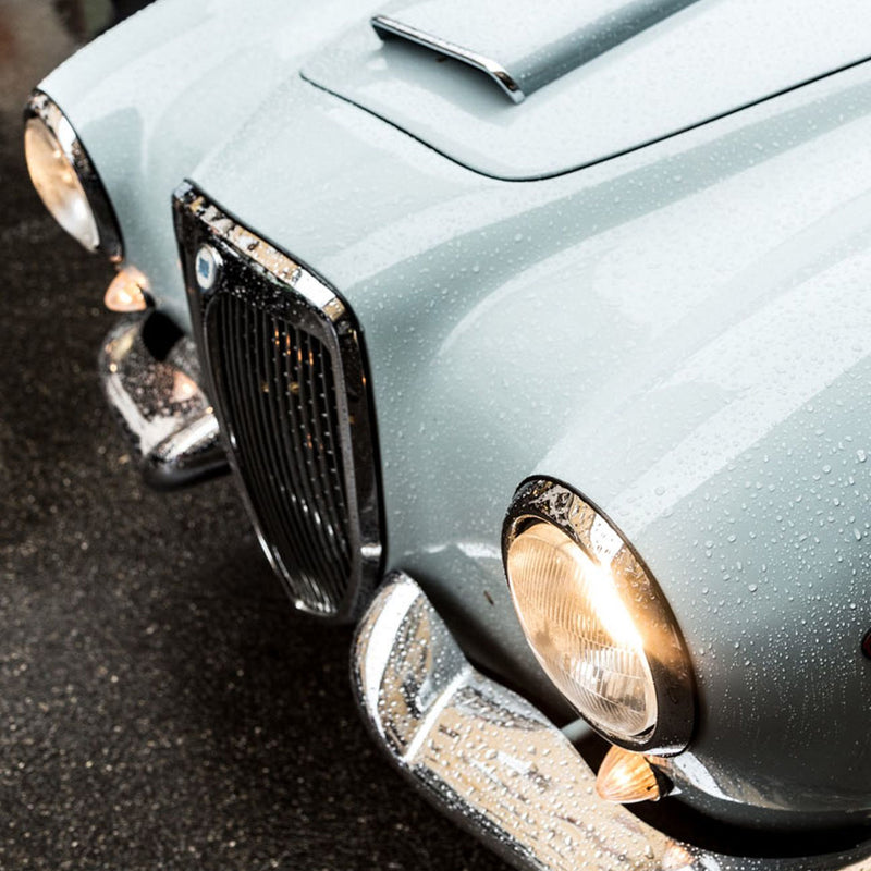 Do You Love To Wash Your Car?