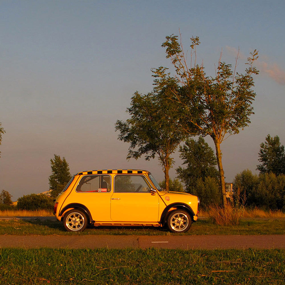 Getting A 1980 Mini 1100 Road Ready in a Day Turned into 20 Years