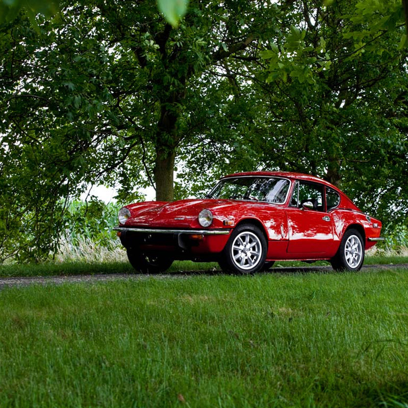 Dutch Triumph Restored into Award Winner