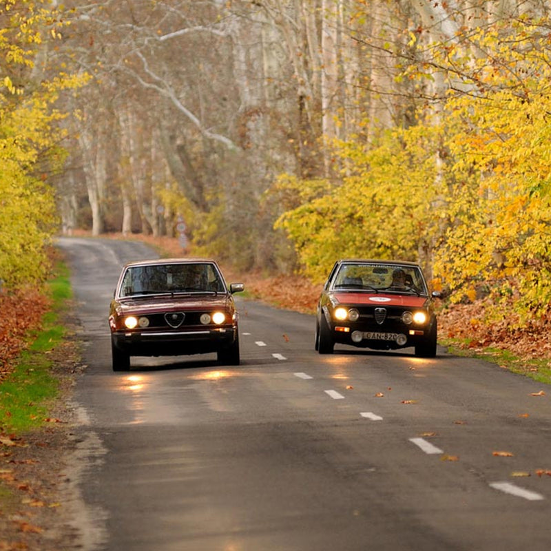 Experience A Drive in Hungary with Four Classic Alfa Romeos