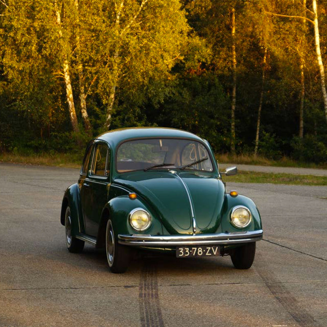 Family Bonds Include VW and Lancia