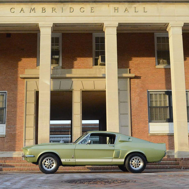 Gorgeous Shelby GT350 Offers More Than Just a Wild Ride