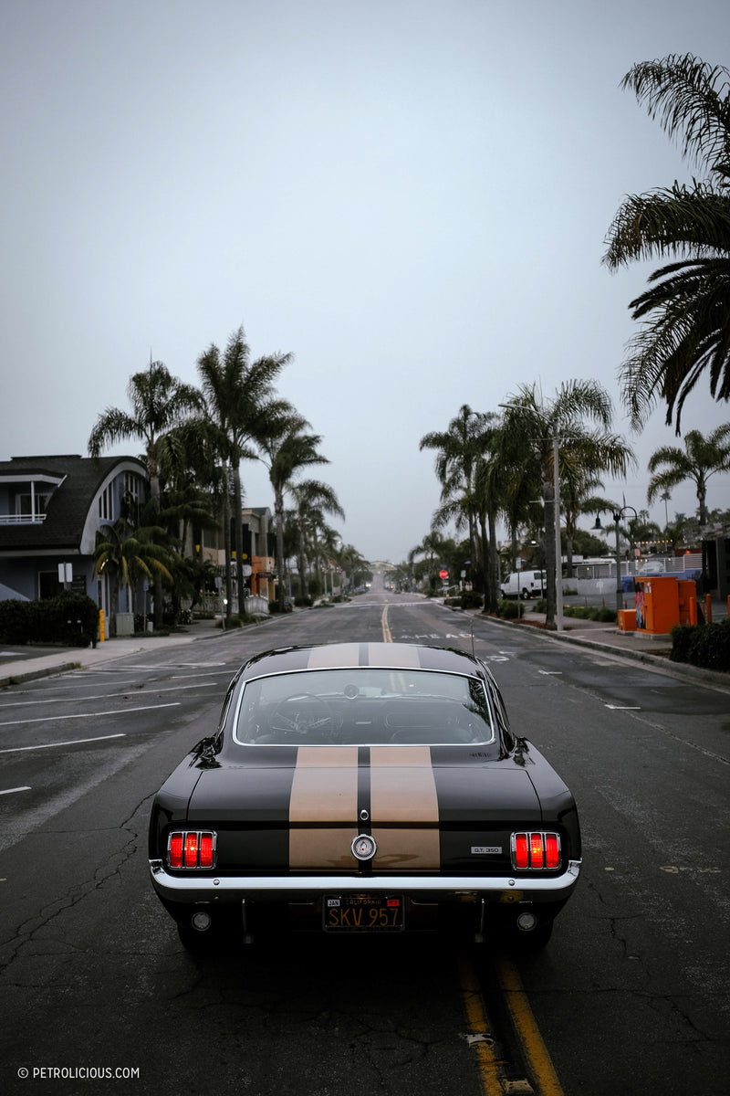 I ‘Rented’ A Shelby GT350 Hertz For A Saturday Drive In San Diego