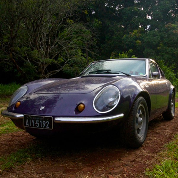 Have You Ever Seen A Svelte Brazilian Puma 1800 GT Rallye?
