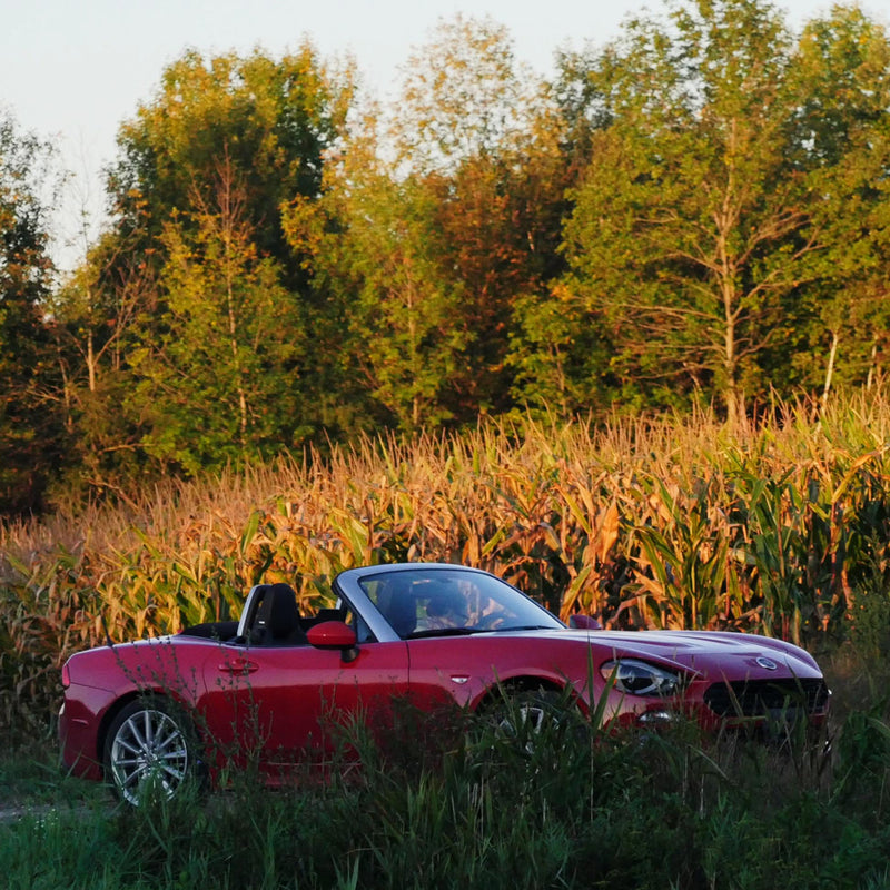Here's Why Fiat's 124 Spider Is All About Its Turbocharged Engine