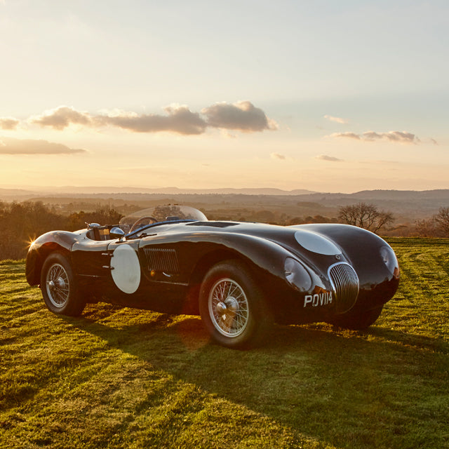 In The Clearing Stands A Jaguar C-Type