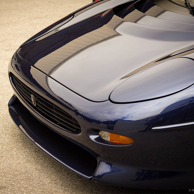 Last Chance to Pass the Petition, Sign It Today!