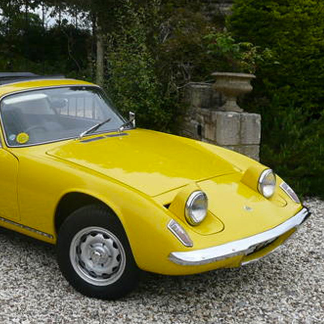 Lotus For Sale Was Appropriately Named