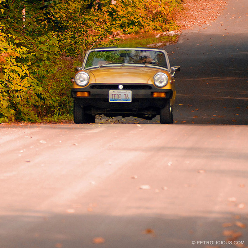 The Best Driving Happens in Autumn