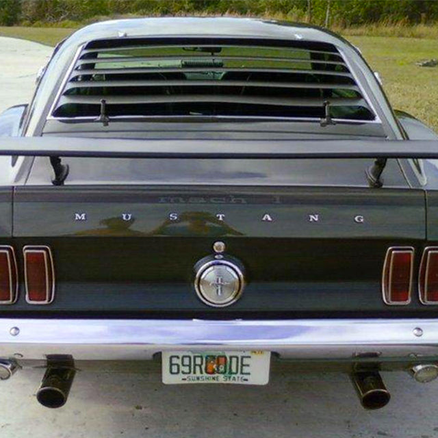 Mustang Needs a New Rider