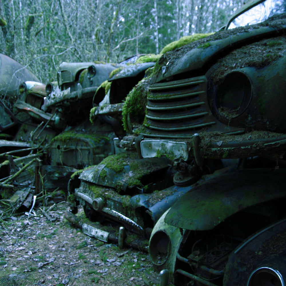Nature Reclaiming Remote Swedish Junkyard and Bygone Cars