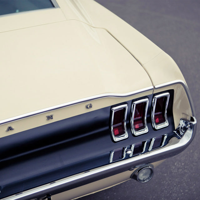 Pascal's Pony, err Mustang, is Named Steve