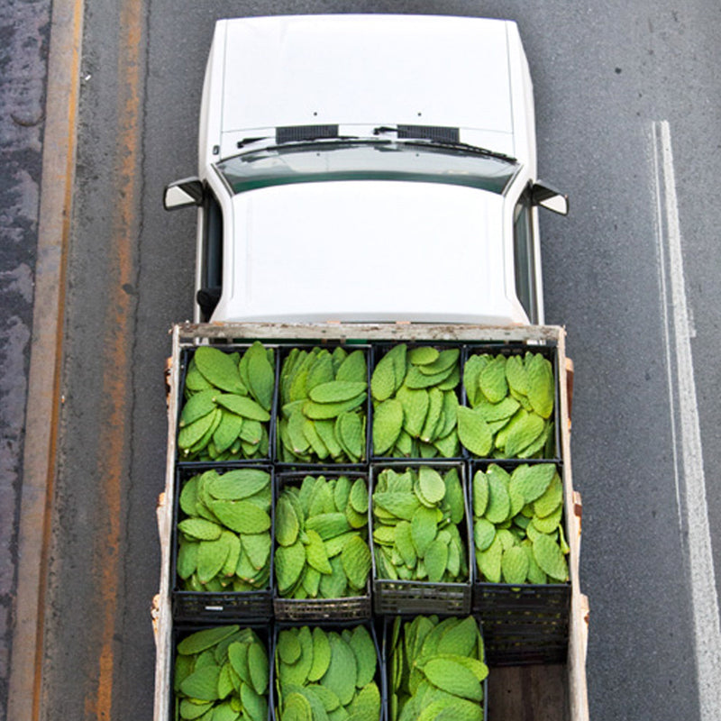 Photographer Captures Commuting Culture in Mexico