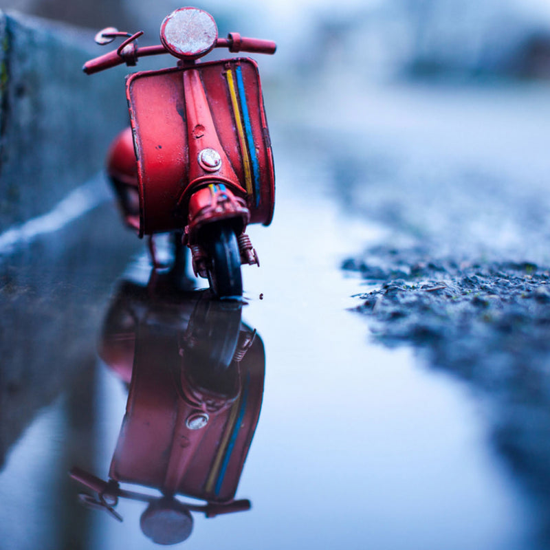 Photography Saved This Young Swiss Student from Life in a Lab