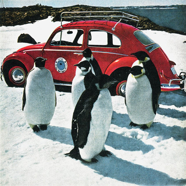 Polar Bug: When the Volkswagen Beetle Conquered Antarctica