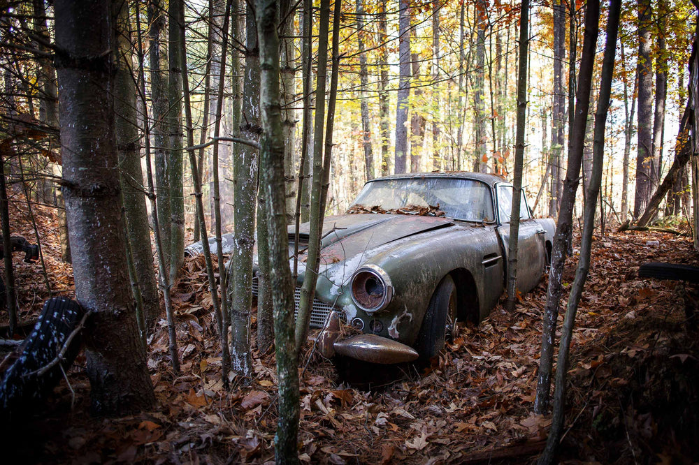 Is Farm Find The New Barn Find? This Aston Martin DB4 Makes A Strong Case