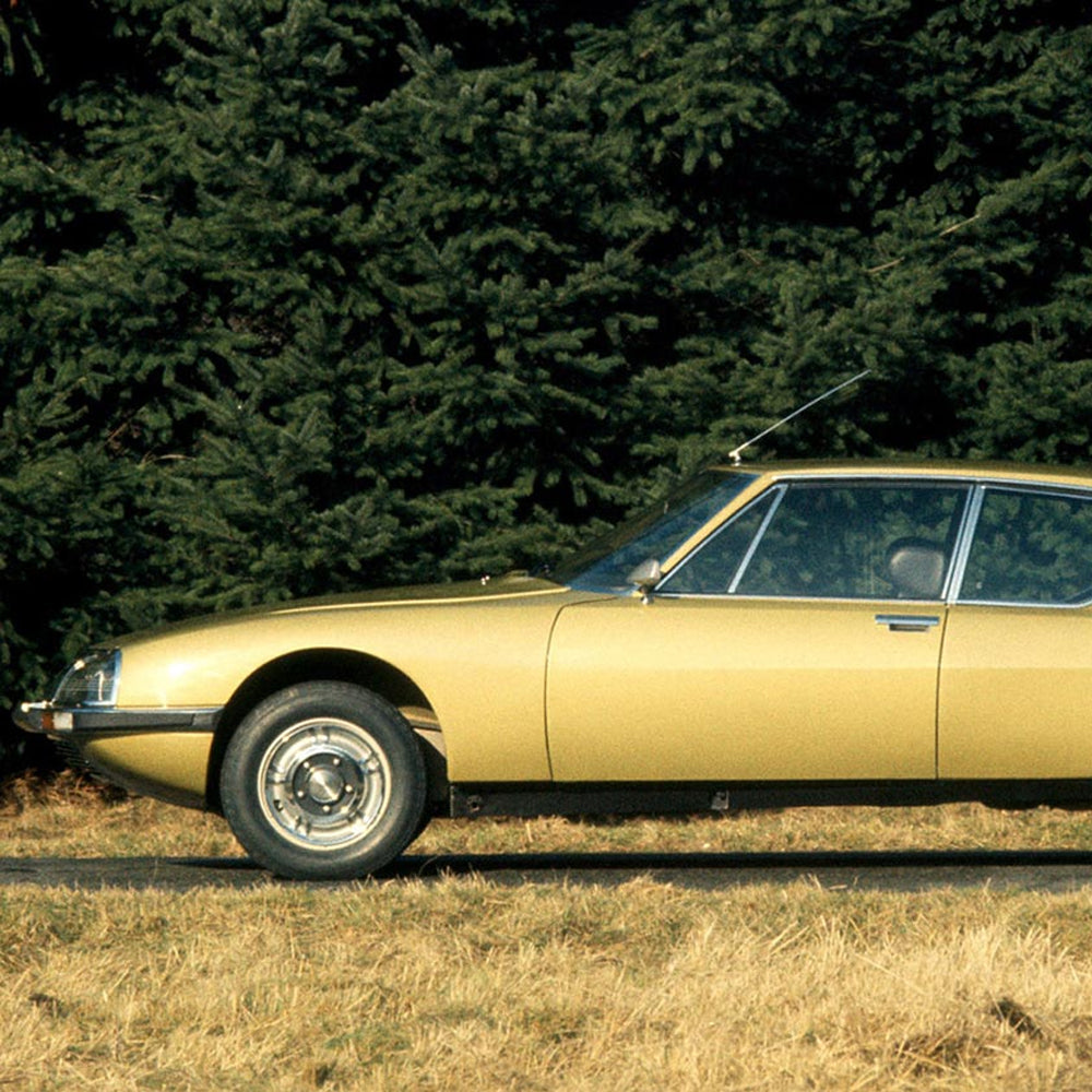 Pick Up A Well-Priced SM While You Still Can