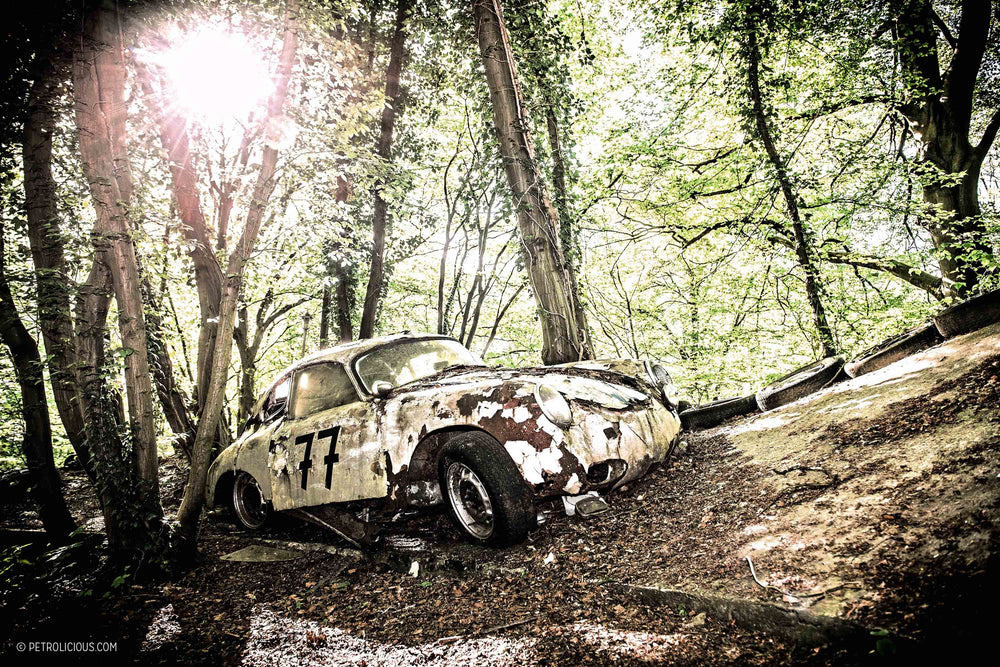 GALLERY: A Forest Full Of Rotting Classics Is Eerily Beautiful