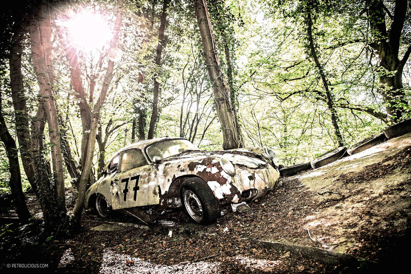 GALLERY: A Forest Full Of Rotting Classics Is Eerily Beautiful