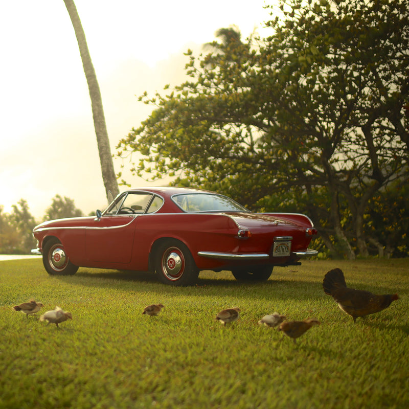 Tailfins: Which Classic Wore Them Best?