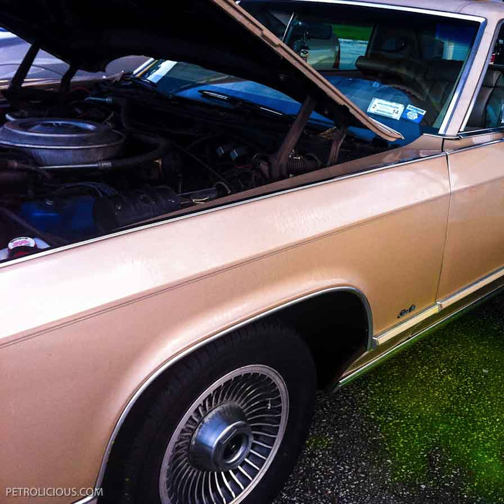 The Continental Pt. 5: Bleeding Green