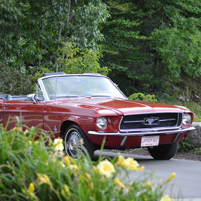 The Joy Of A Canadian ’67 Ford Mustang Time Capsule