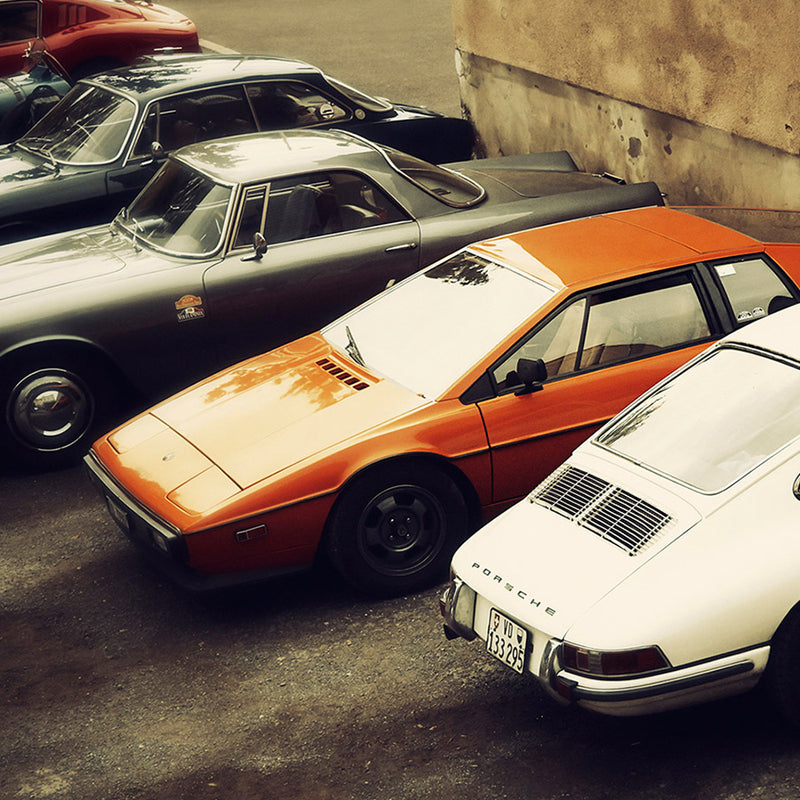 The Serial Monogamist